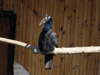 Similar image 169294