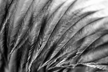 Similar image 169299