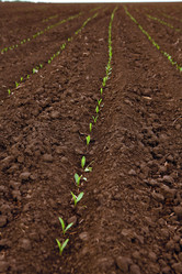 Similar image 169355