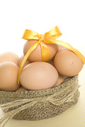 Similar image 169369