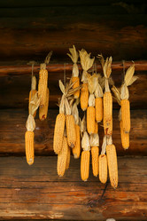 Similar image 169378