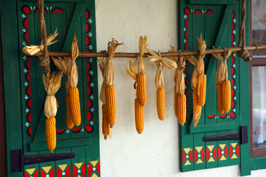 Similar image 169382