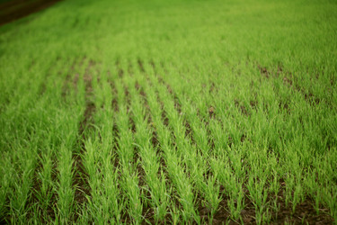 Similar image 169394