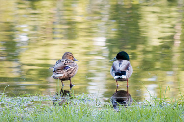 Similar image 169395