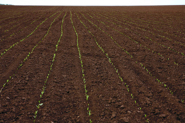 Similar image 169414