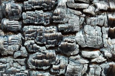 Similar image 169418