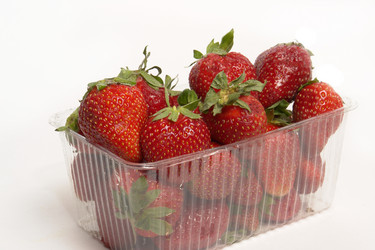 Similar image 169445