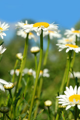 Similar image 169466