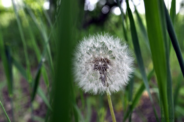 Similar image 169486