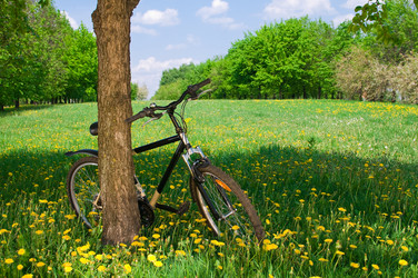 Similar image 169504