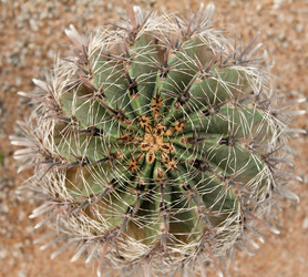 Similar image 169514