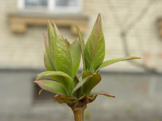 Similar image 169547