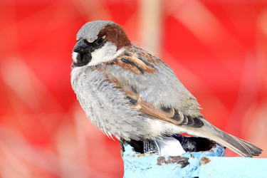 Similar image 169548