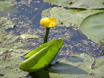 Similar image 169549