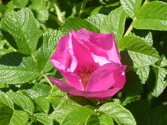 Similar image 169551