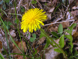 Similar image 169572