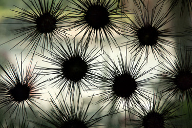 Similar image 169573