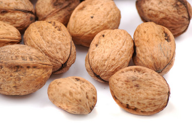 Similar image 169583