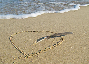 Similar image 169591