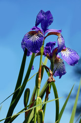 Similar image 169624