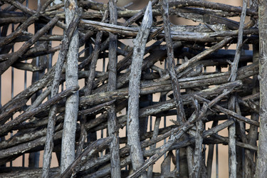 Similar image 169625