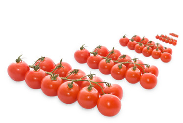 Similar image 169640