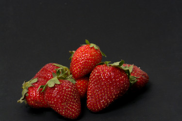 Similar image 169645