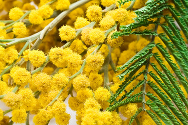 Similar image 169655