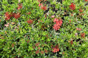 Similar image 169682