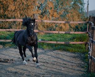 Similar image 169708