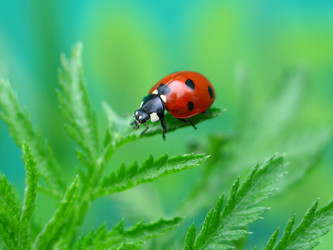 Similar image 169710