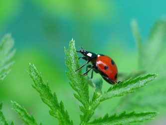 Similar image 169711