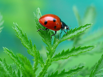 Similar image 169712