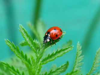 Similar image 169714