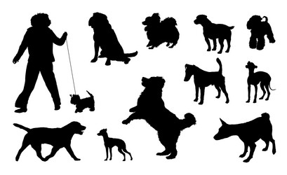 Similar image 169721