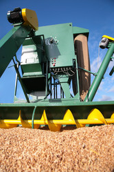 Similar image 169746