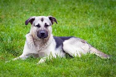 Similar image 169747