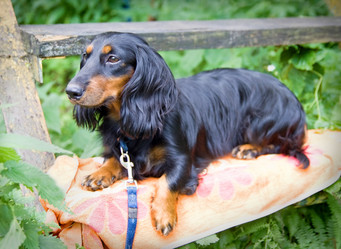 Similar image 169749