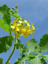 Similar image 169763