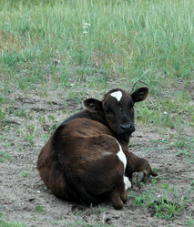 Similar image 169771