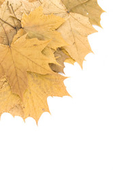 Similar image 169772