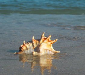 Similar image 169773