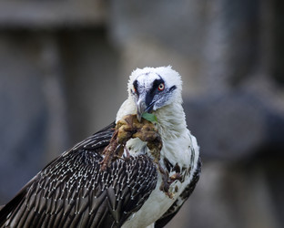 Similar image 169827