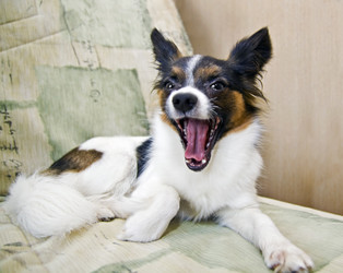 Similar image 169871