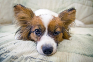 Similar image 169872