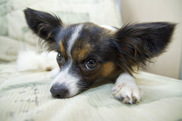 Similar image 169873