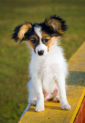 Similar image 169874