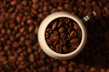 Similar image 169903