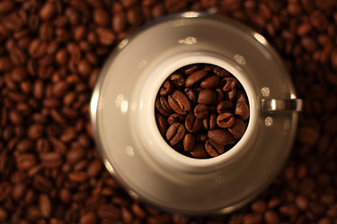 Similar image 169905