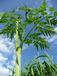 Similar image 169912